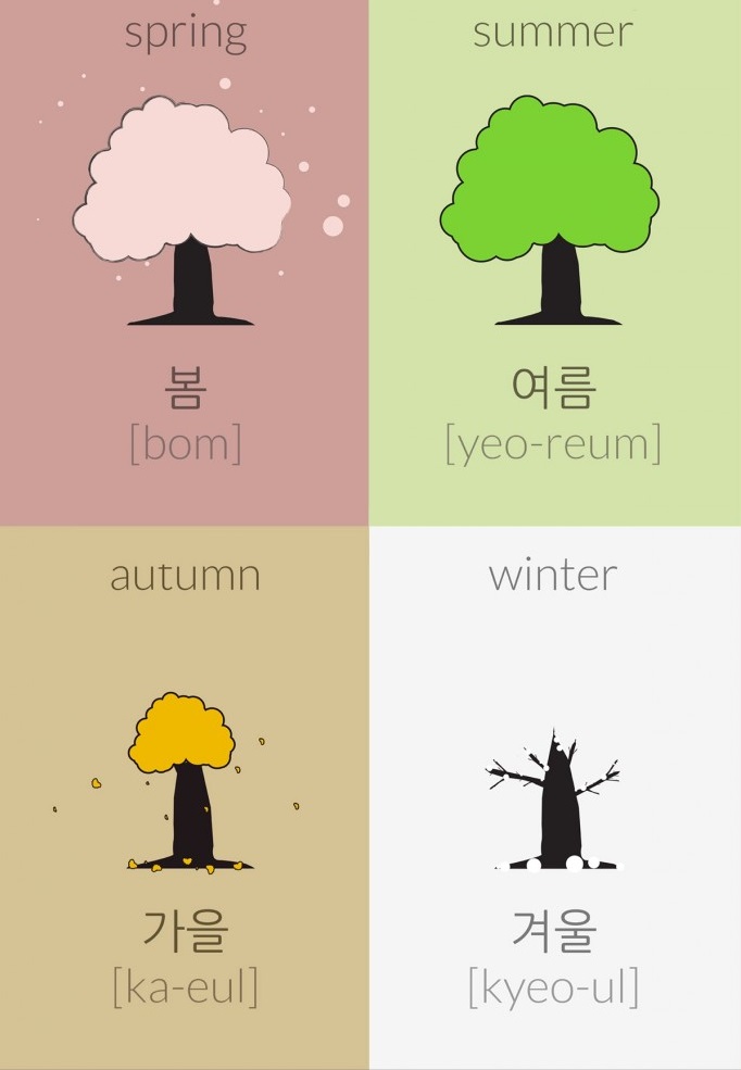 Học tiếng Hàn các mùa ở Hàn Quốc